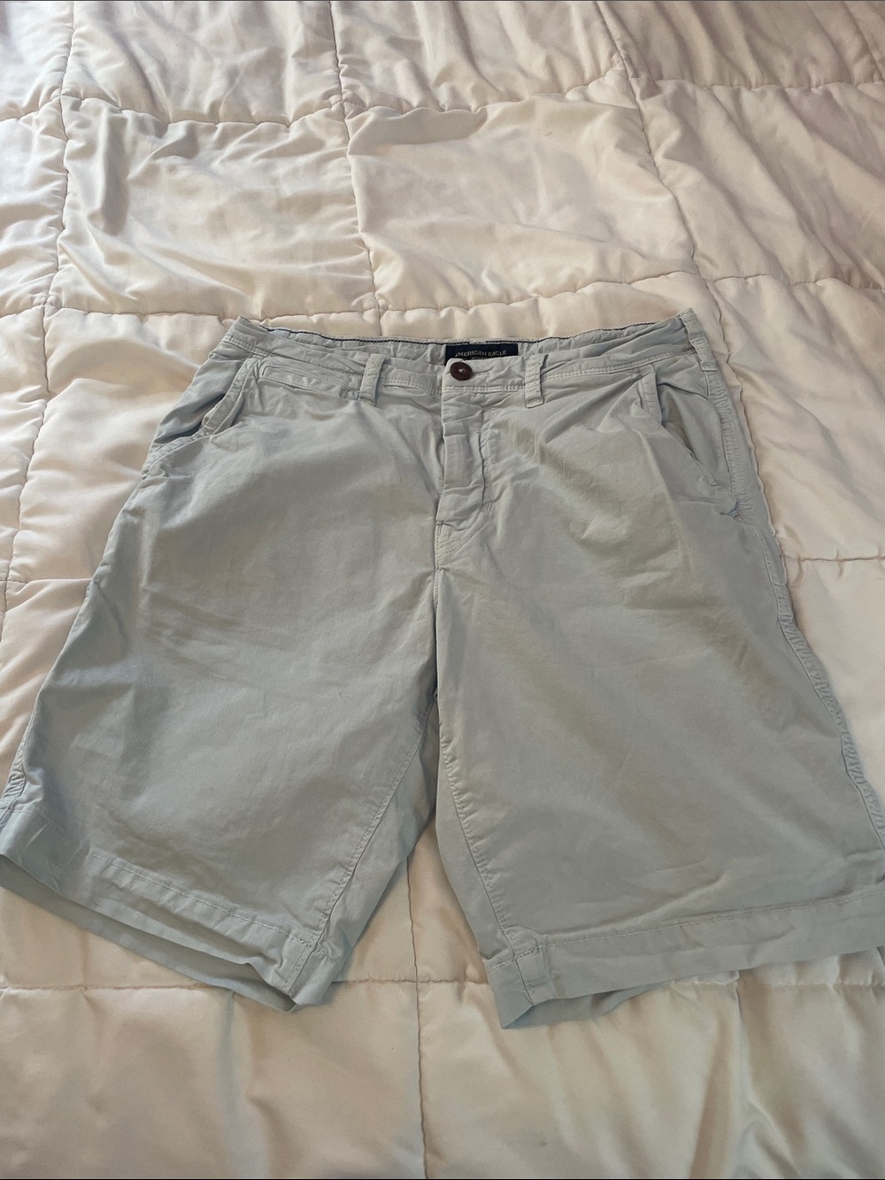 American Eagle Outfitters Light Blue Men’s Chino Shorts 31” waist